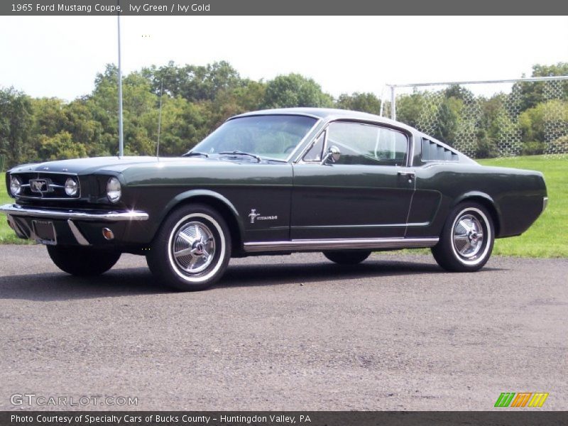  1965 Mustang Coupe Ivy Green