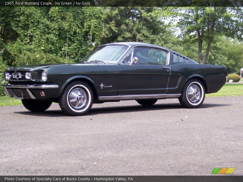  1965 Mustang Coupe Ivy Green