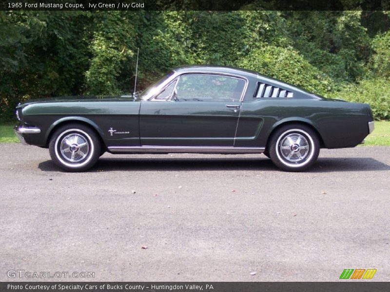  1965 Mustang Coupe Ivy Green