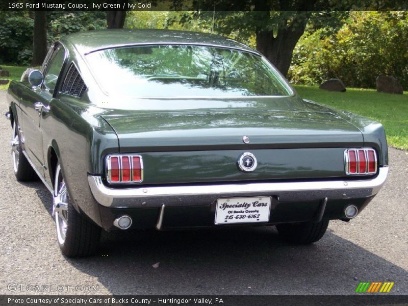 Ivy Green / Ivy Gold 1965 Ford Mustang Coupe