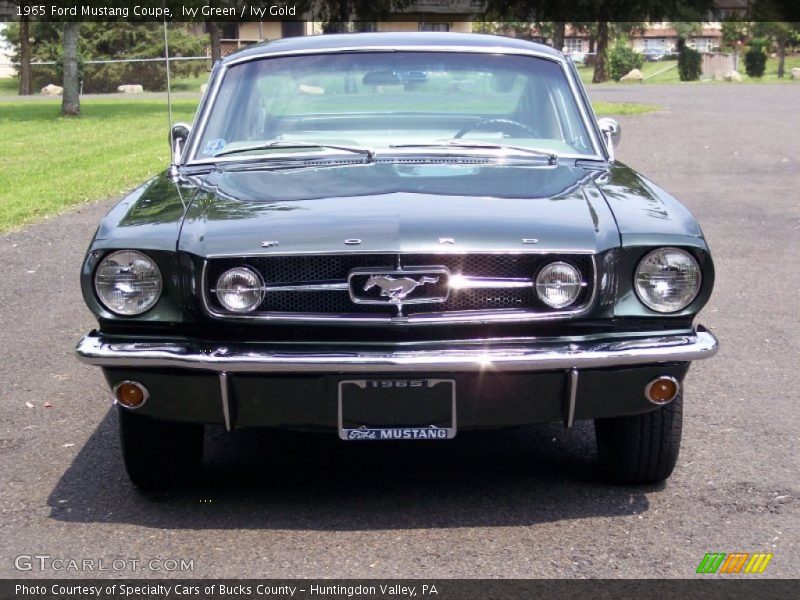 Ivy Green / Ivy Gold 1965 Ford Mustang Coupe