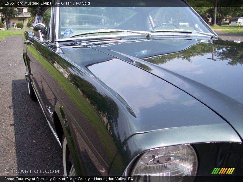Ivy Green / Ivy Gold 1965 Ford Mustang Coupe
