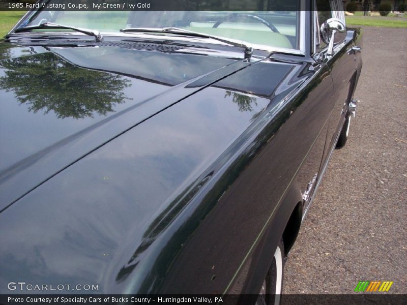 Ivy Green / Ivy Gold 1965 Ford Mustang Coupe