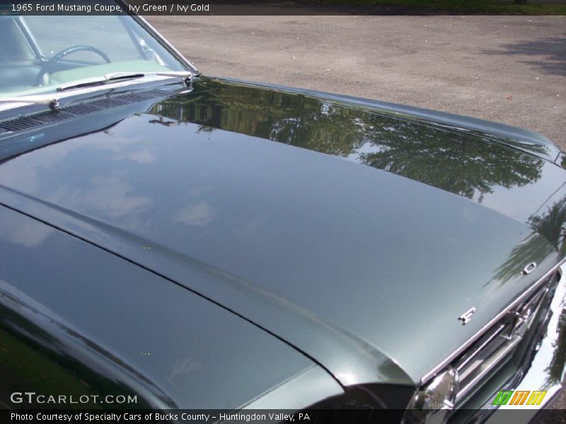Ivy Green / Ivy Gold 1965 Ford Mustang Coupe