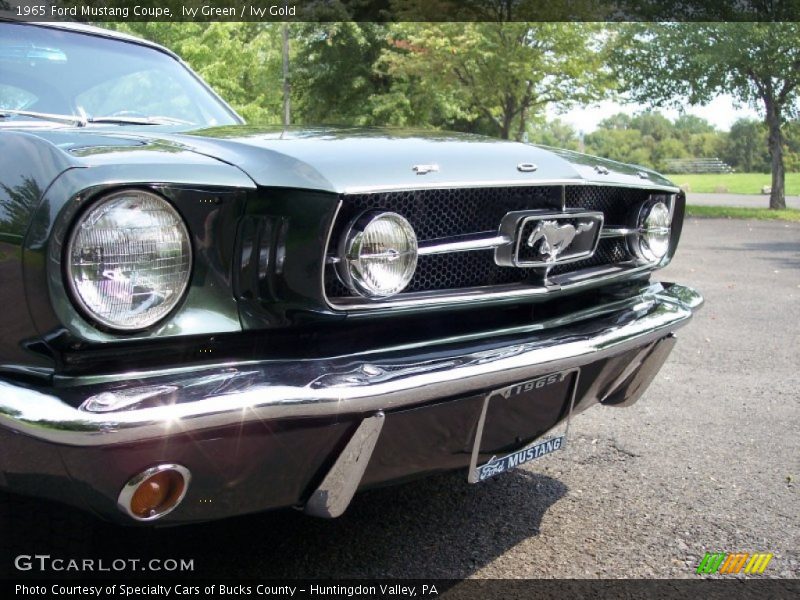 Ivy Green / Ivy Gold 1965 Ford Mustang Coupe