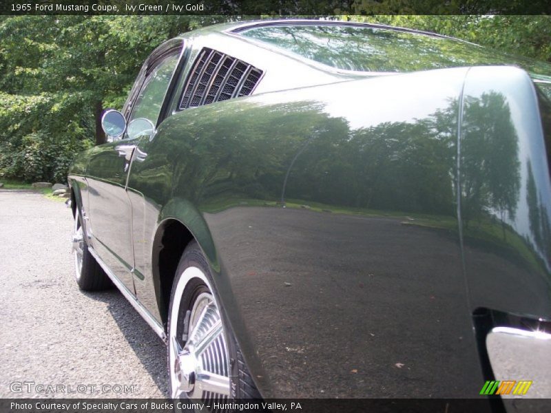 Ivy Green / Ivy Gold 1965 Ford Mustang Coupe