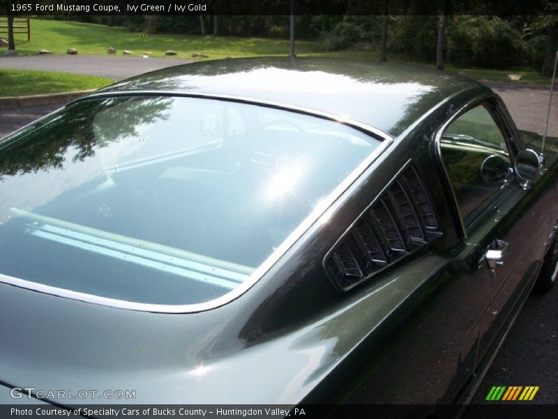 Ivy Green / Ivy Gold 1965 Ford Mustang Coupe