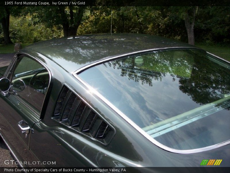 Ivy Green / Ivy Gold 1965 Ford Mustang Coupe
