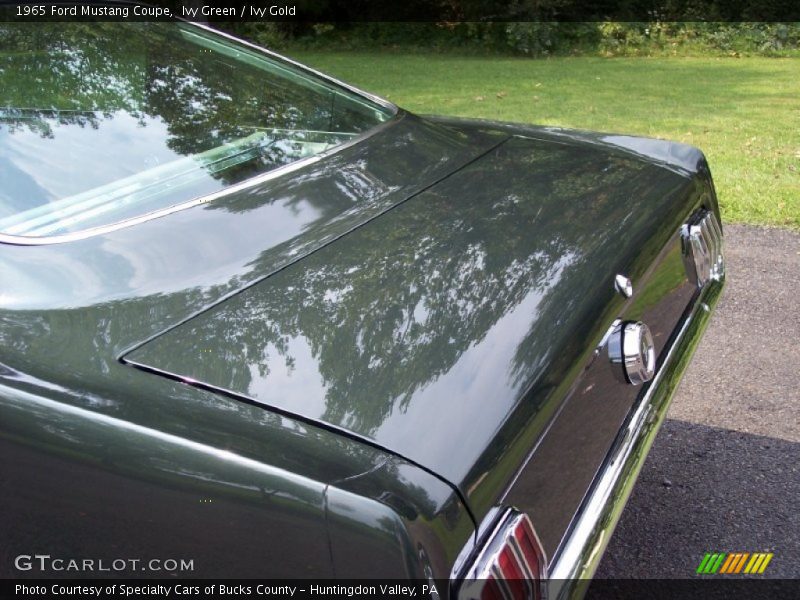 Ivy Green / Ivy Gold 1965 Ford Mustang Coupe