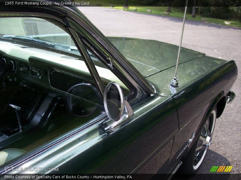 Ivy Green / Ivy Gold 1965 Ford Mustang Coupe