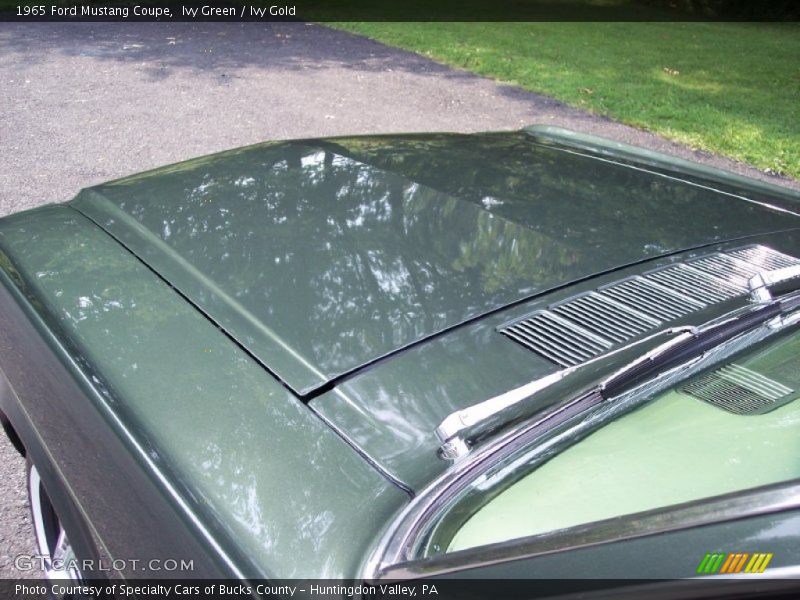 Ivy Green / Ivy Gold 1965 Ford Mustang Coupe