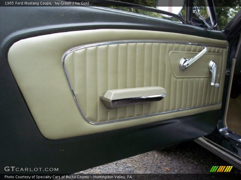 Door Panel of 1965 Mustang Coupe