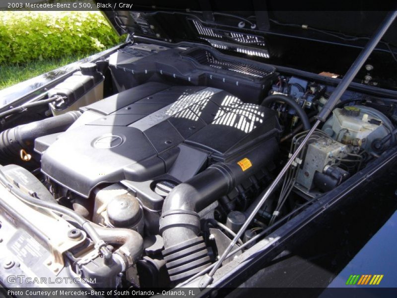 Black / Gray 2003 Mercedes-Benz G 500