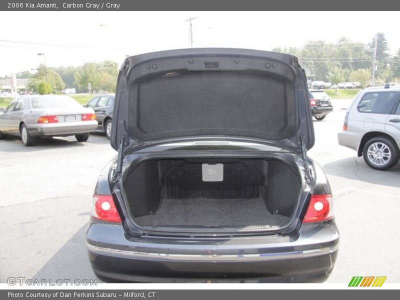 Carbon Gray / Gray 2006 Kia Amanti