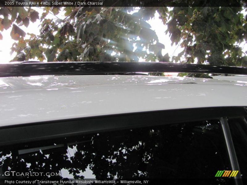 Super White / Dark Charcoal 2005 Toyota RAV4 4WD