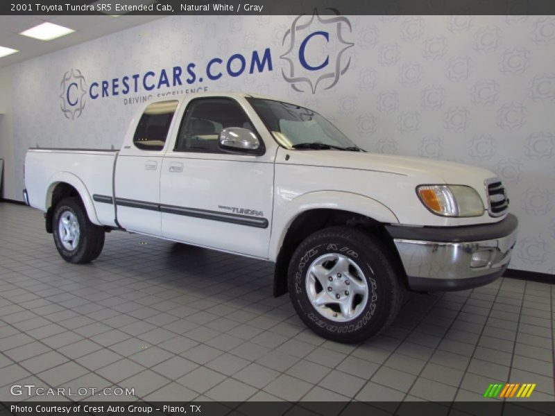 Natural White / Gray 2001 Toyota Tundra SR5 Extended Cab