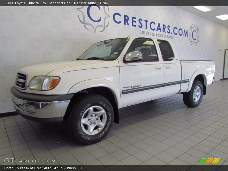 Natural White / Gray 2001 Toyota Tundra SR5 Extended Cab