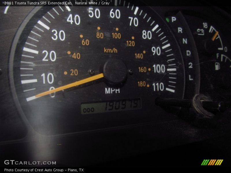 Natural White / Gray 2001 Toyota Tundra SR5 Extended Cab