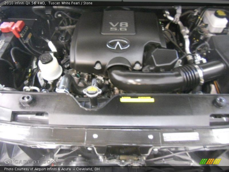 Tuscan White Pearl / Stone 2010 Infiniti QX 56 4WD
