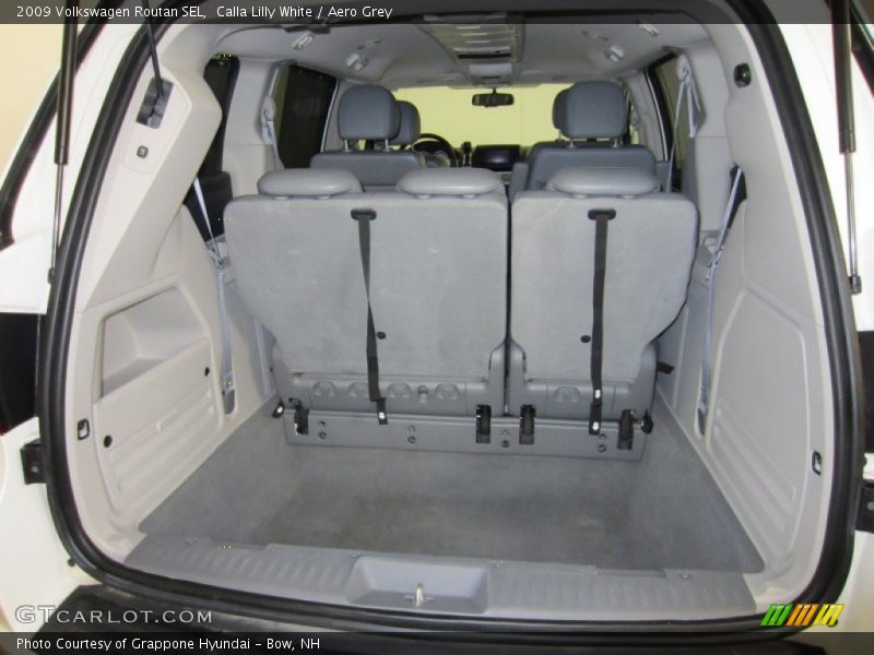 Calla Lilly White / Aero Grey 2009 Volkswagen Routan SEL