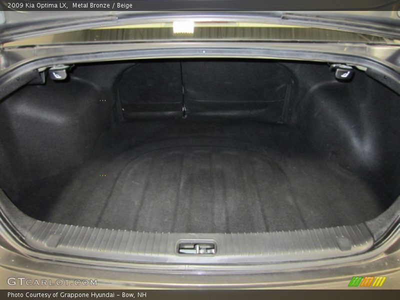Metal Bronze / Beige 2009 Kia Optima LX