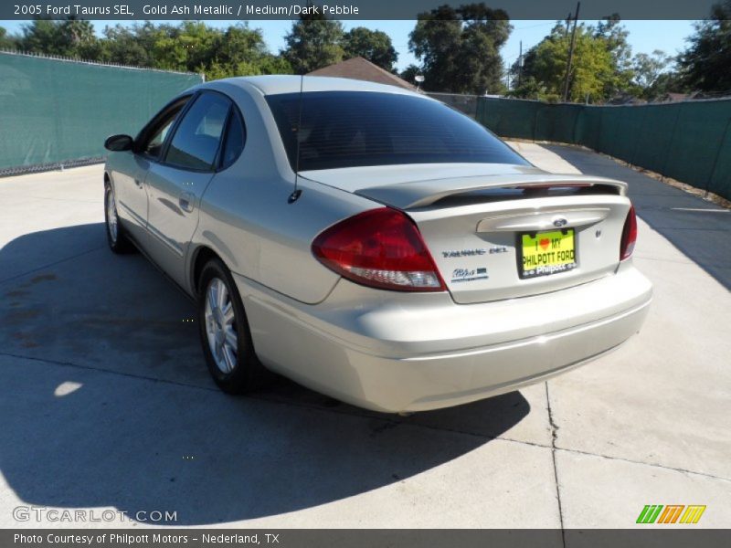 Gold Ash Metallic / Medium/Dark Pebble 2005 Ford Taurus SEL
