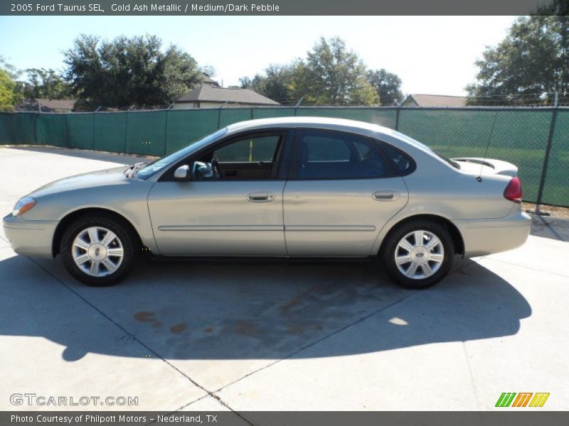 Gold Ash Metallic / Medium/Dark Pebble 2005 Ford Taurus SEL