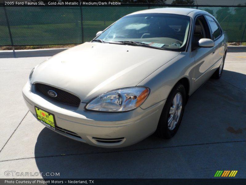 Gold Ash Metallic / Medium/Dark Pebble 2005 Ford Taurus SEL