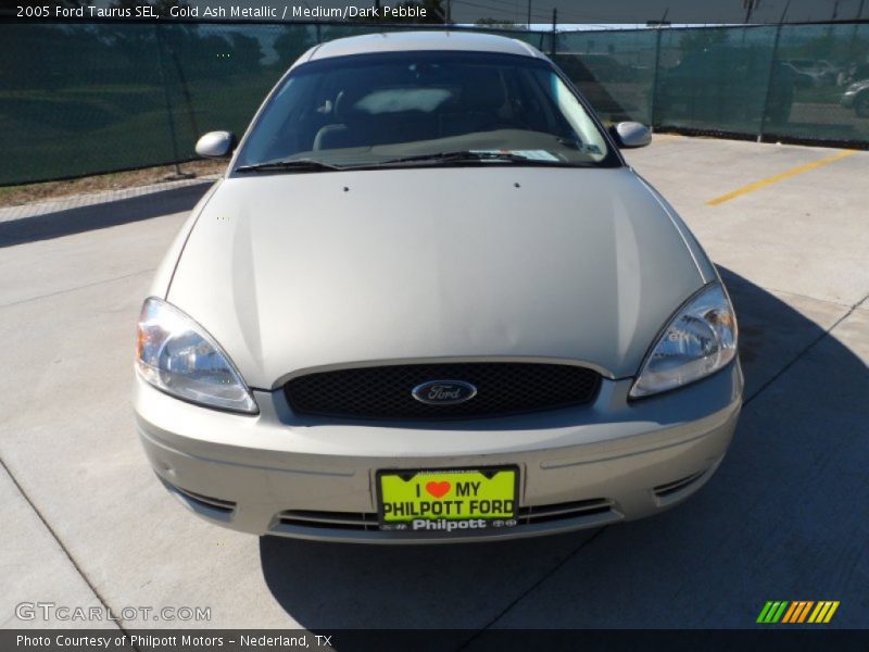 Gold Ash Metallic / Medium/Dark Pebble 2005 Ford Taurus SEL