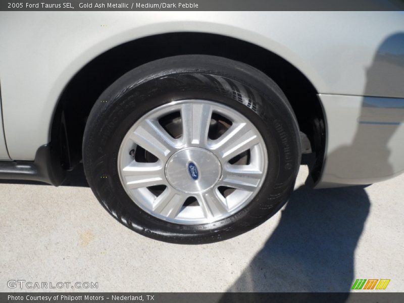 Gold Ash Metallic / Medium/Dark Pebble 2005 Ford Taurus SEL