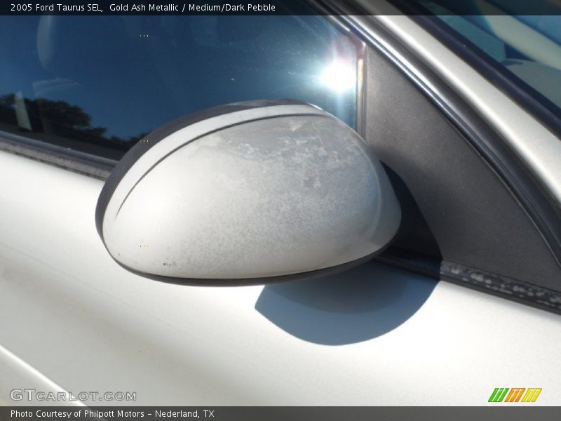 Gold Ash Metallic / Medium/Dark Pebble 2005 Ford Taurus SEL