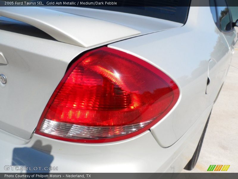 Gold Ash Metallic / Medium/Dark Pebble 2005 Ford Taurus SEL