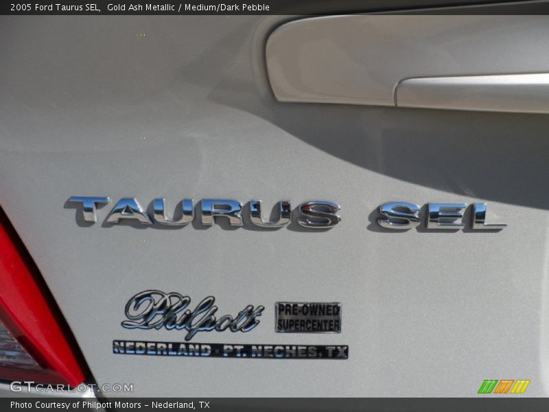 Gold Ash Metallic / Medium/Dark Pebble 2005 Ford Taurus SEL