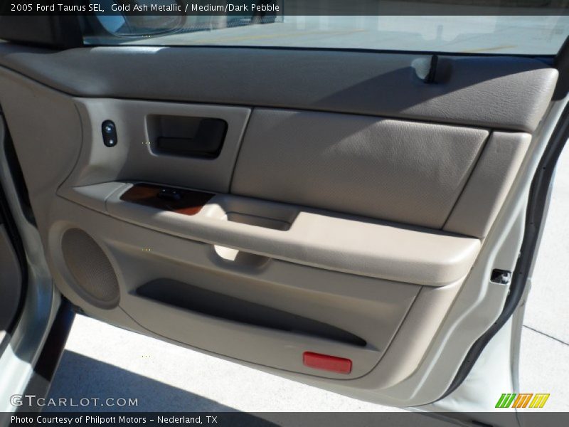 Gold Ash Metallic / Medium/Dark Pebble 2005 Ford Taurus SEL