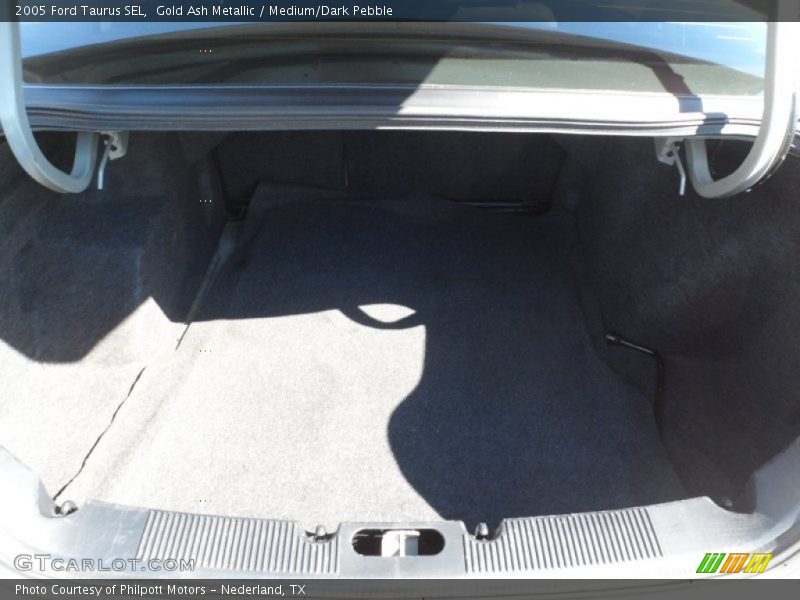 Gold Ash Metallic / Medium/Dark Pebble 2005 Ford Taurus SEL