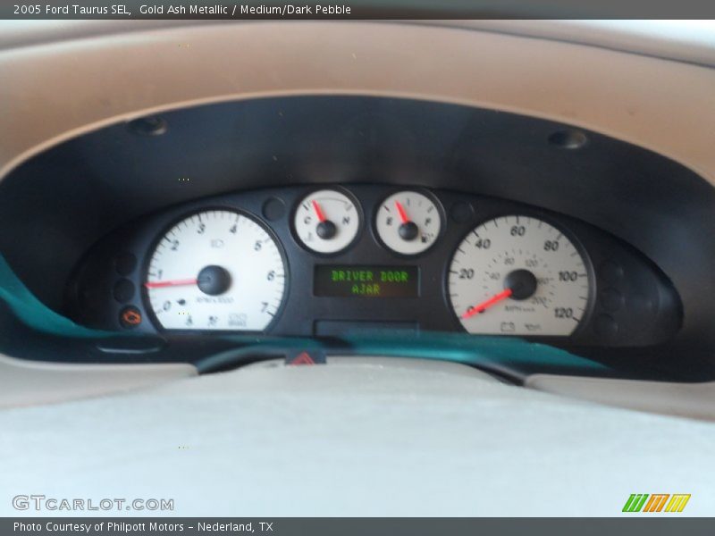Gold Ash Metallic / Medium/Dark Pebble 2005 Ford Taurus SEL