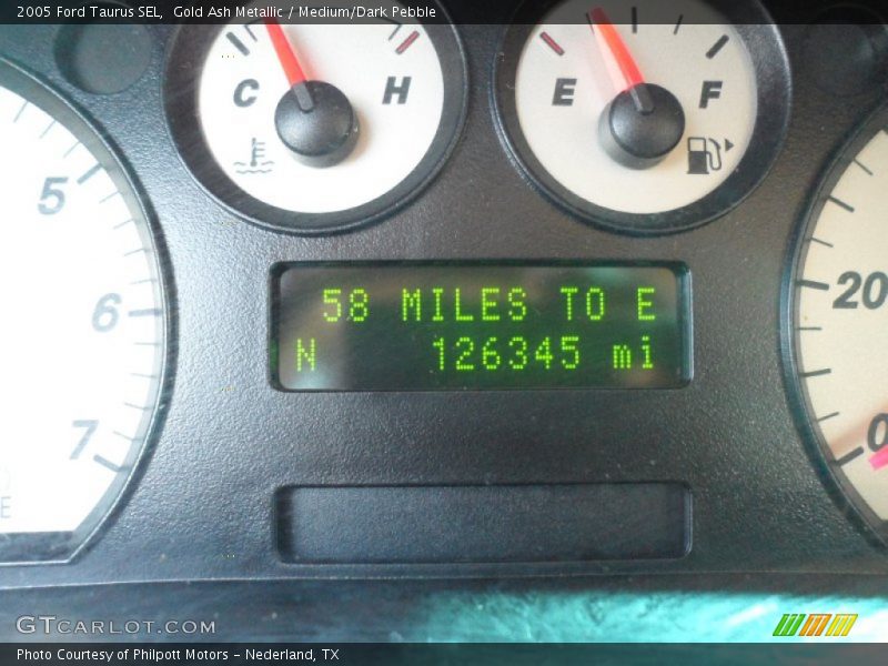 Gold Ash Metallic / Medium/Dark Pebble 2005 Ford Taurus SEL