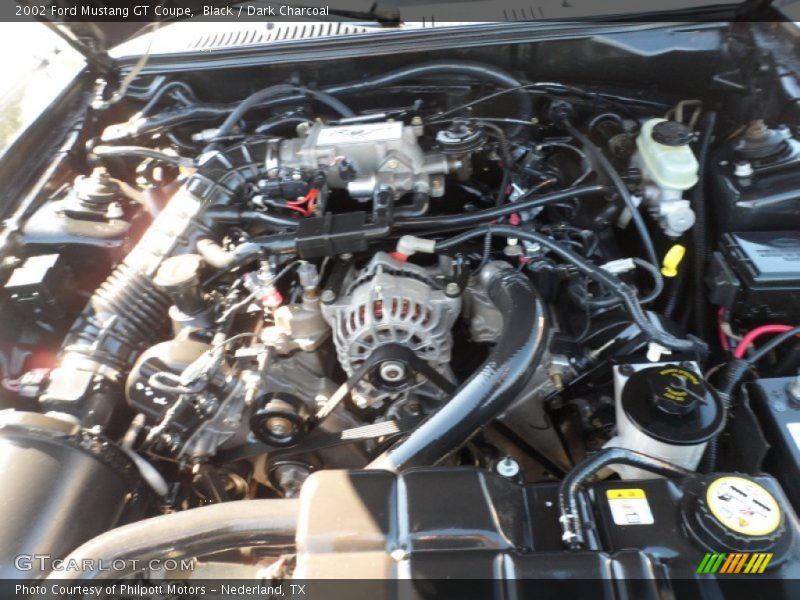 Black / Dark Charcoal 2002 Ford Mustang GT Coupe