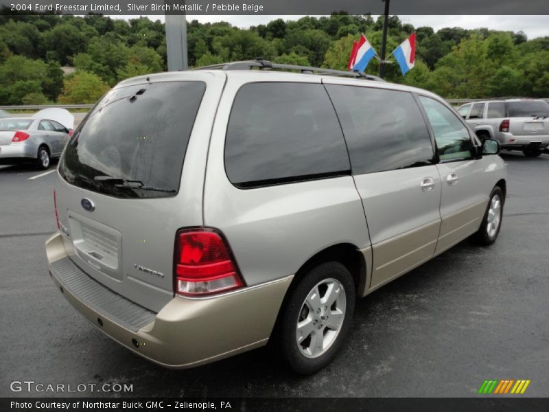 Silver Birch Metallic / Pebble Beige 2004 Ford Freestar Limited
