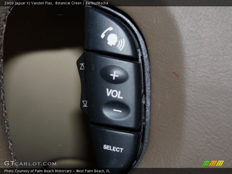 Botanical Green / Barley/Mocha 2009 Jaguar XJ Vanden Plas