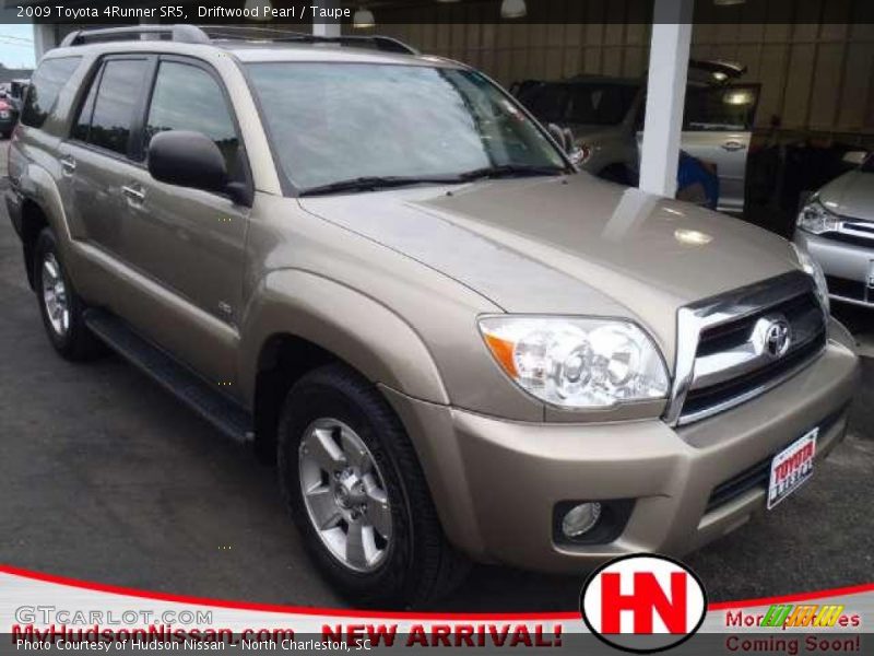 Driftwood Pearl / Taupe 2009 Toyota 4Runner SR5