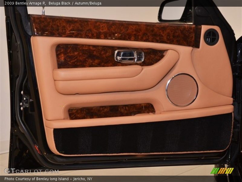 Door Panel of 2009 Arnage R