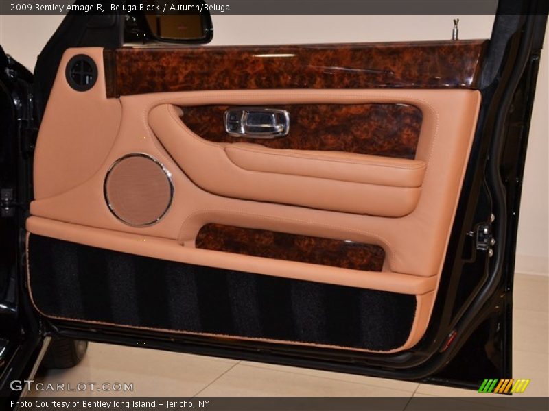 Door Panel of 2009 Arnage R
