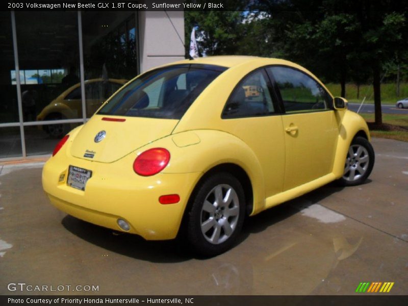 Sunflower Yellow / Black 2003 Volkswagen New Beetle GLX 1.8T Coupe