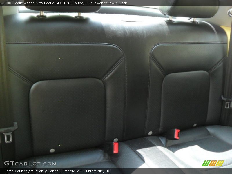  2003 New Beetle GLX 1.8T Coupe Black Interior