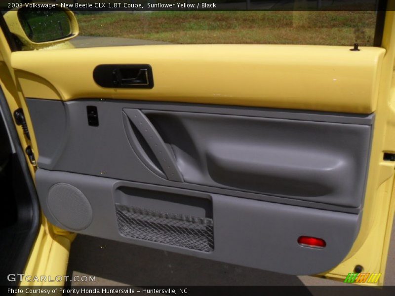 Door Panel of 2003 New Beetle GLX 1.8T Coupe