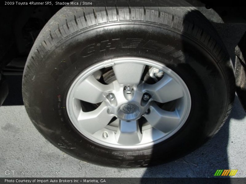 Shadow Mica / Stone 2009 Toyota 4Runner SR5