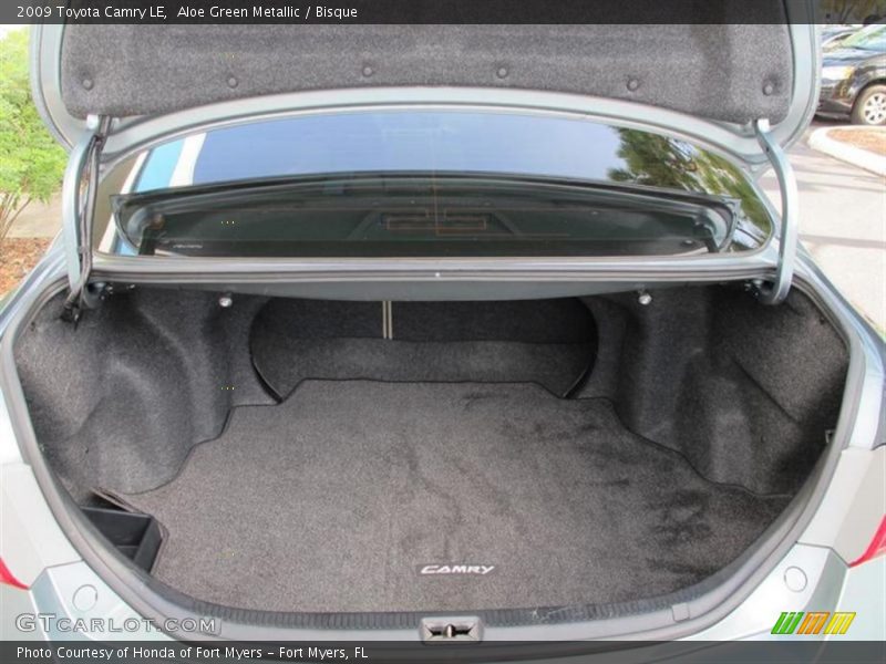 Aloe Green Metallic / Bisque 2009 Toyota Camry LE