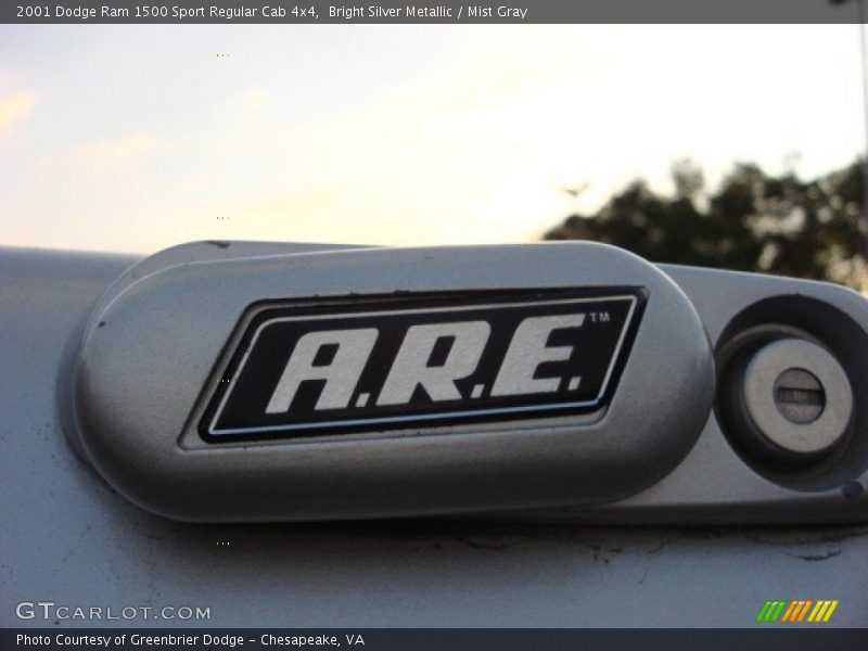 Bright Silver Metallic / Mist Gray 2001 Dodge Ram 1500 Sport Regular Cab 4x4