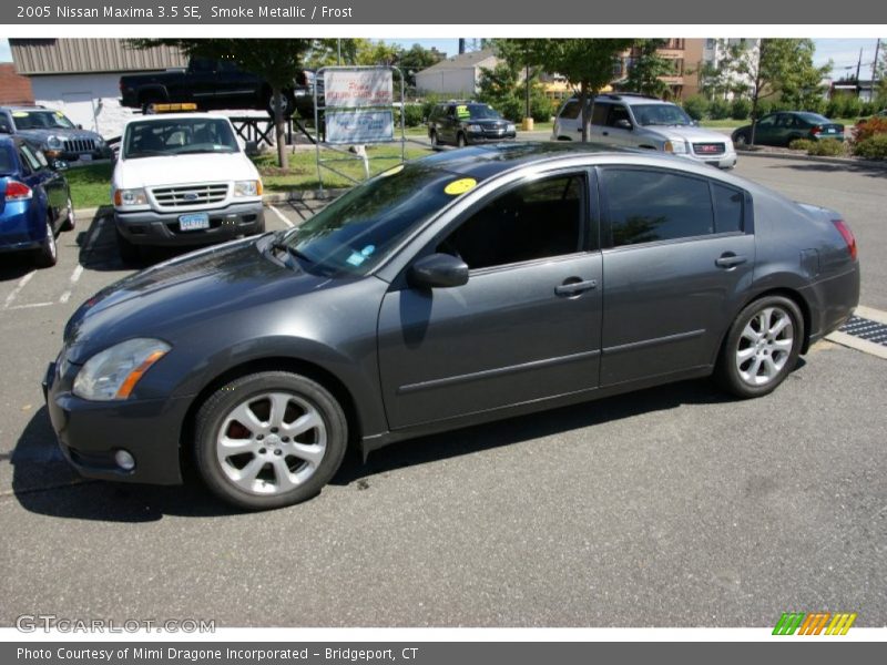 Smoke Metallic / Frost 2005 Nissan Maxima 3.5 SE